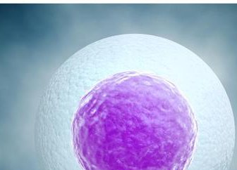 拉拉去泰国康民国际医院做试管的成功率有多少？如何才能提升拉拉试管成功率